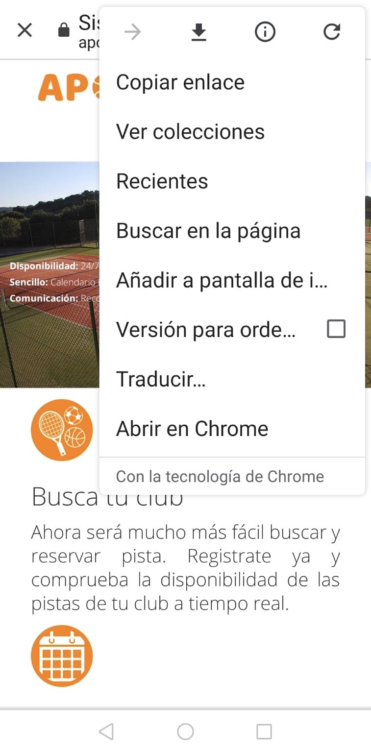 Menú de opciones de Chrome en Android — Paso 2